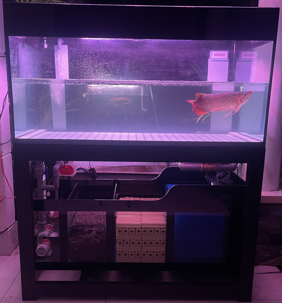 HỒ CÁ THÔNG MINH VIEW 4 MẶT 4 LỚP ĐÁY 1m33*0.68*0.68