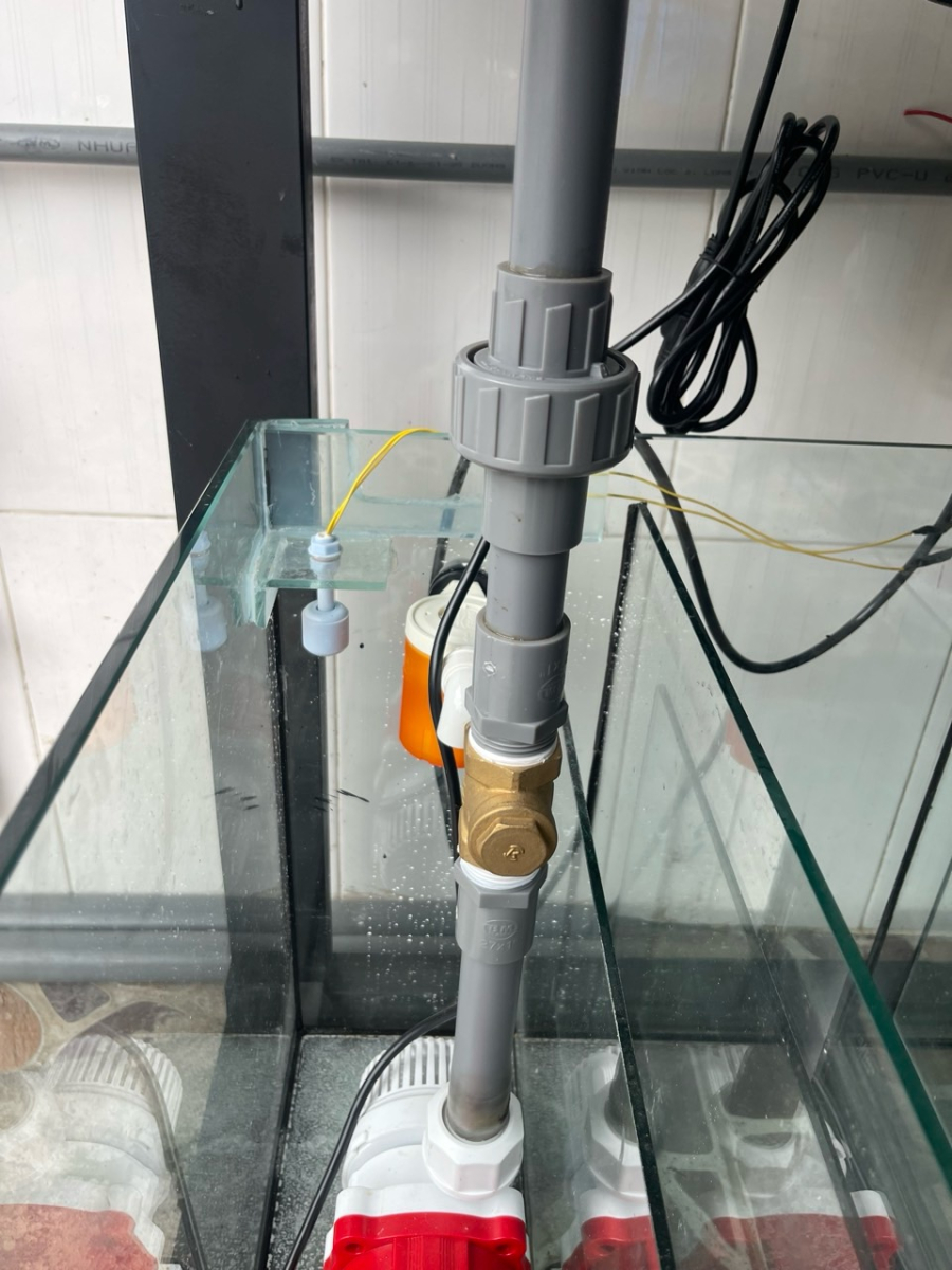 TRỌN BỘ COMBO HỒ CÁ THÔNG MINH - ĐA MỰC NƯỚC - TỰ ĐỘNG HOÁ