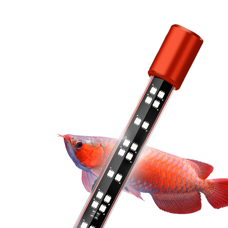 ĐÈN LED MAYIN DÀNH CHO HUYẾT LONG - QUÁ BỐI DÀNH CHO HỒ 1M4 TRỞ XUỐNG