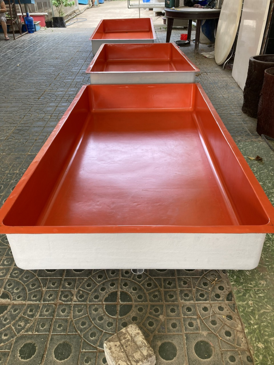 Thùng Dưỡng Cá Composite 2m*1m*0.5