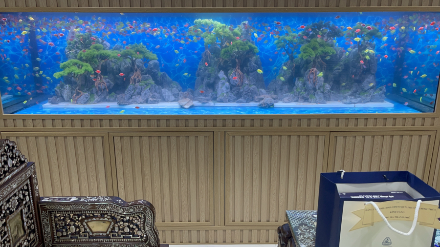 HỒ CÁ THÔNG MINH STS FISH 305*106*81 CM (KHÁCH HÀNG ANH PHÚ)