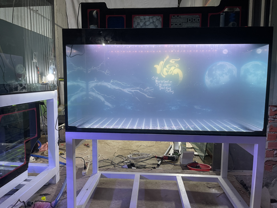 HỒ LỌC TRÀN TRÊN GIẤU BƠM 133*68*68 CM (KHÁCH HÀNG ANH LƯỜNG)