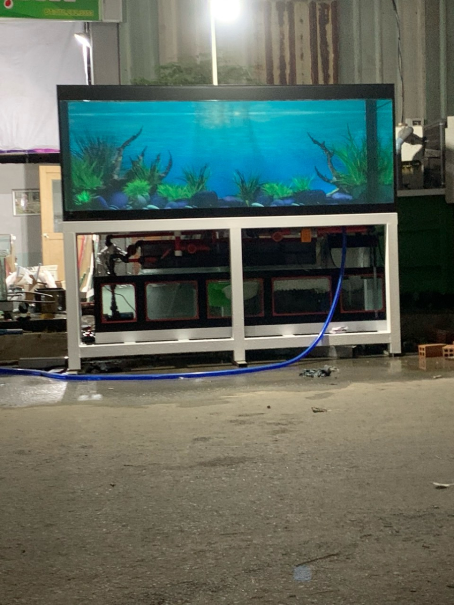 HỒ CÁ THÔNG MINH STS FISH 158*68*68 CM (KHÁCH HÀNG TRƯỜNG - VÀM CỐNG)