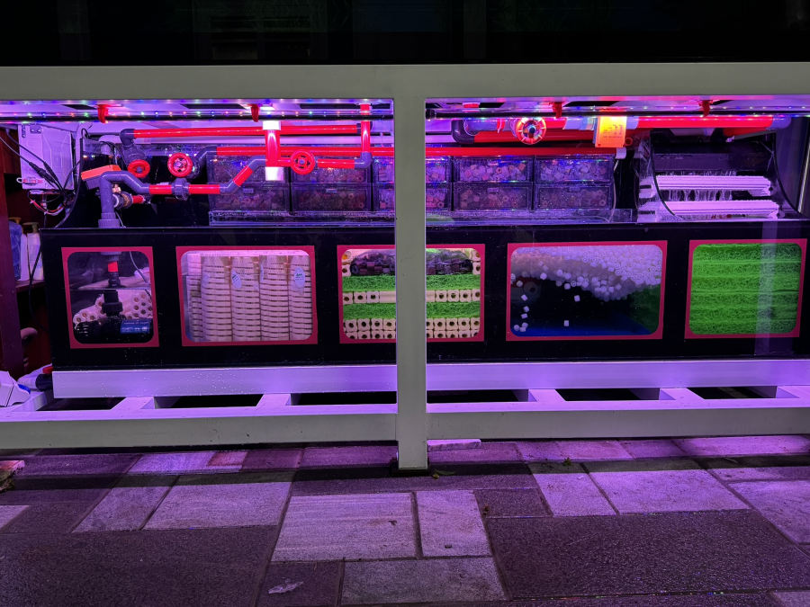 HỒ CÁ 2M31 x 0M89 x 0M89 ĐA MỰC NƯỚC TÍCH HỢP LỌC DÀN MƯA VIEW 4 MẶT 