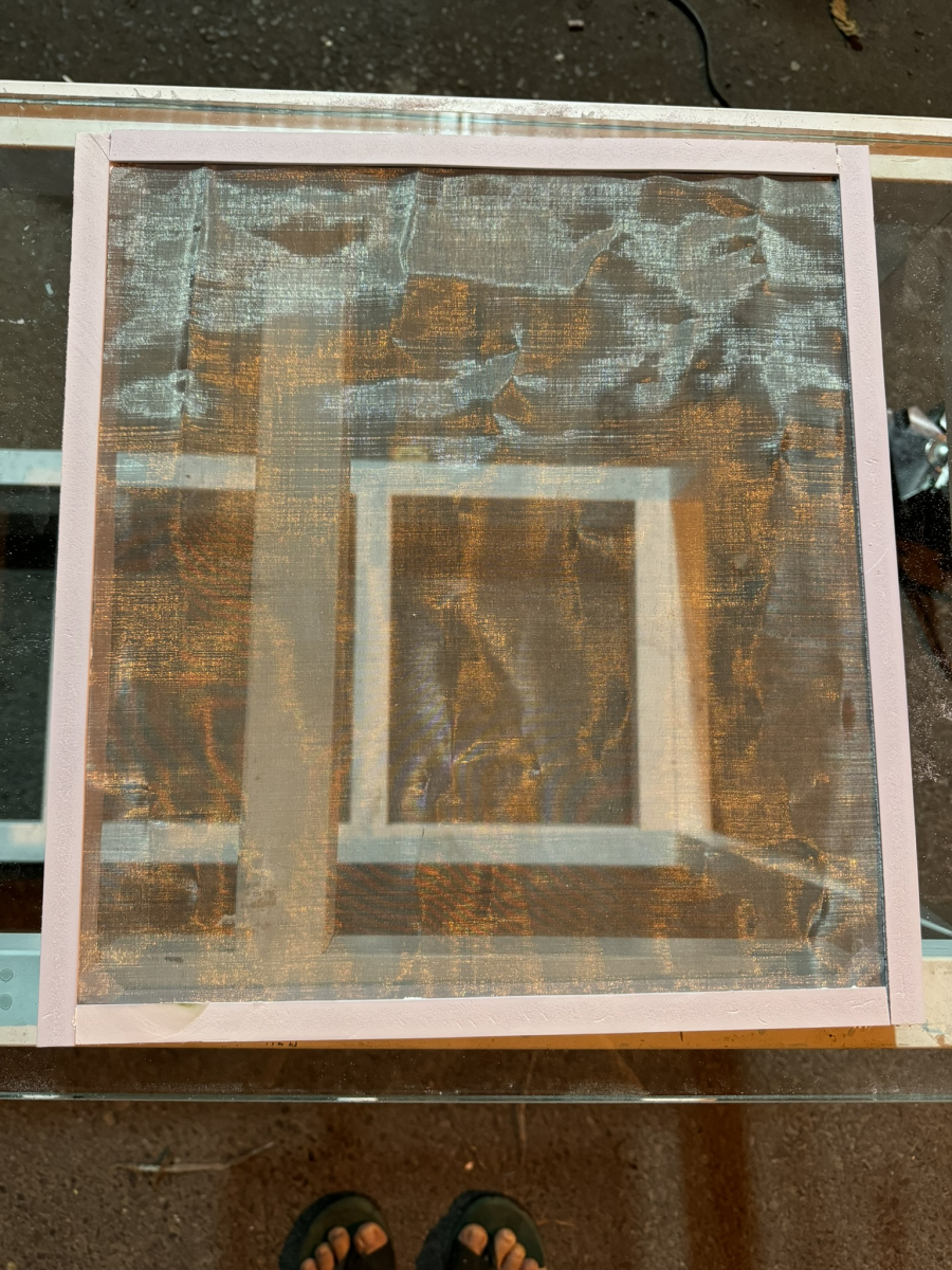 KHAY TÁCH PHÂN HỒ CÁ