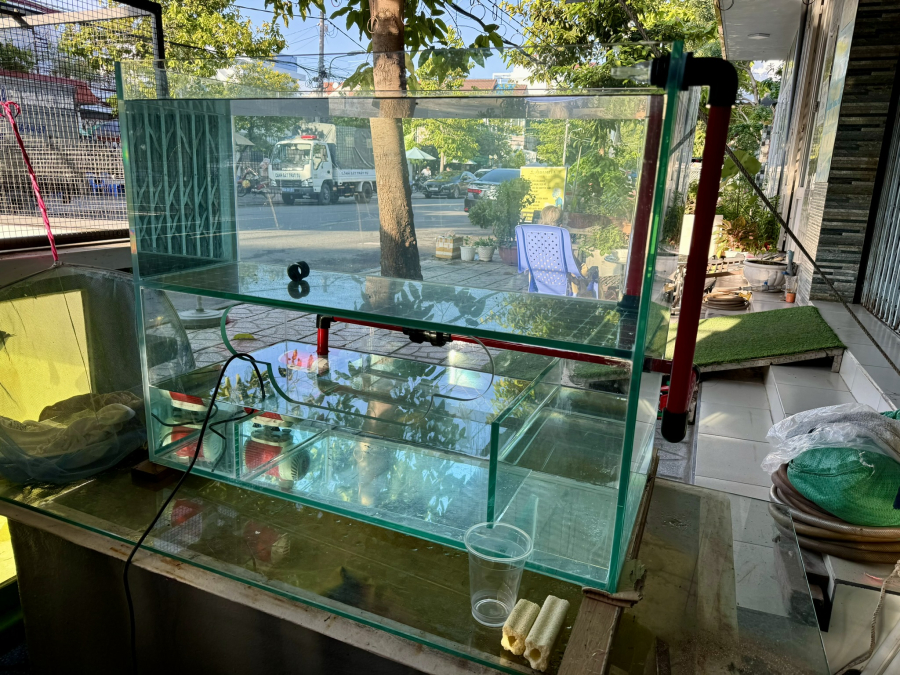 HỒ CÁ THỦY SINH KÍNH NGUYÊN KHỐI