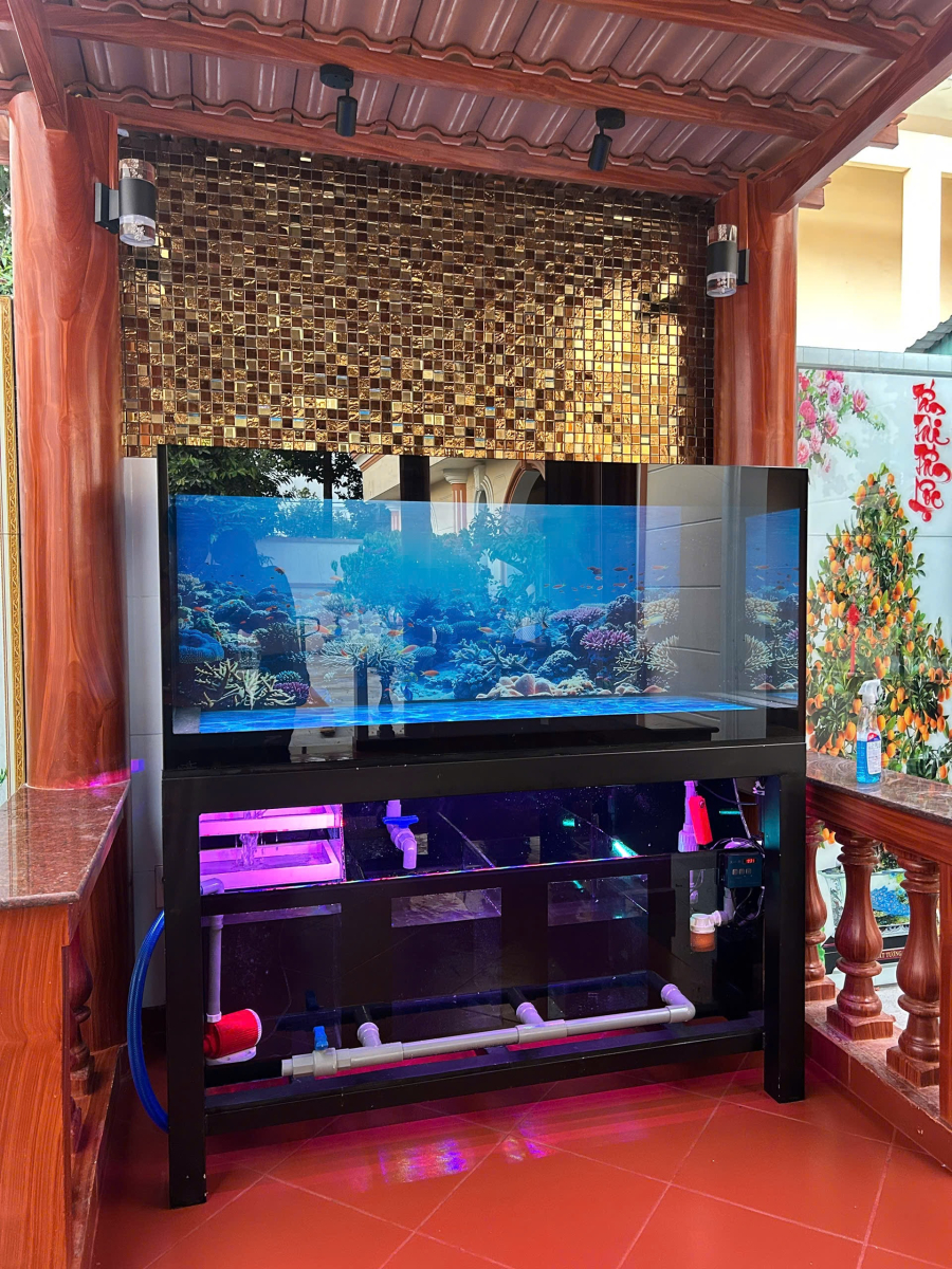 HỒ CÁ CÔNG NGHỆ HỘP KỸ THUẬT ÂM ĐÁY (VIEW 4 MẶT) 155-68-68 ỐNG BÌNH MINH KÈM TỦ GỖ CĂM XE