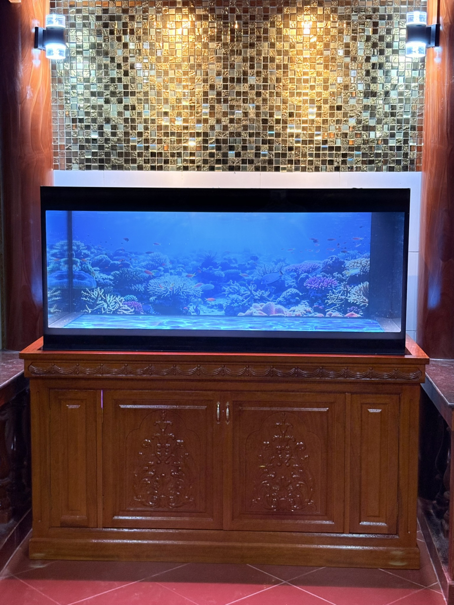 HỒ CÁ CÔNG NGHỆ HỘP KỸ THUẬT ÂM ĐÁY (VIEW 4 MẶT) 155-68-68 ỐNG BÌNH MINH KÈM TỦ GỖ CĂM XE