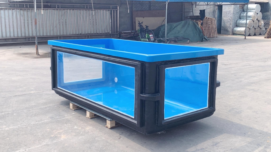 BỂ COMPOSITE CHUYÊN DÙNG NUÔI CÁ SĂN MỒI - THIẾT KẾ THEO YÊU CẦU 296 X 81 X 81 CM