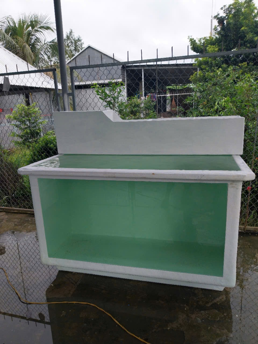 BỂ COMPOSITE CHUYÊN DÙNG NUÔI CÁ SĂN MỒI - THEO YÊU CẦU- 4 KHỐI