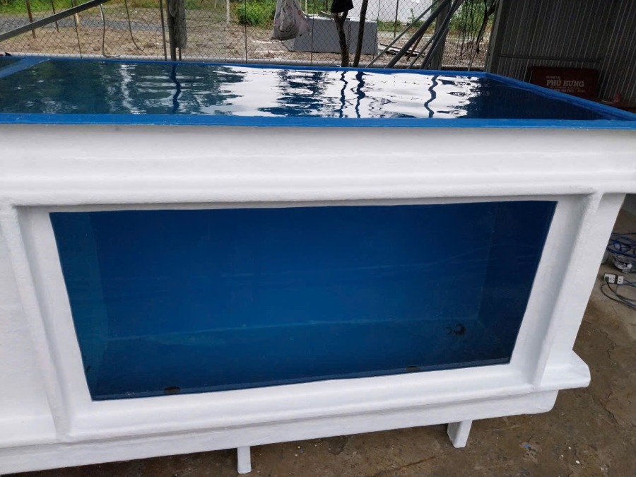 BỂ COMPOSITE CHUYÊN DÙNG NUÔI CÁ SĂN MỒI - THEO YÊU CẦU- 4 KHỐI
