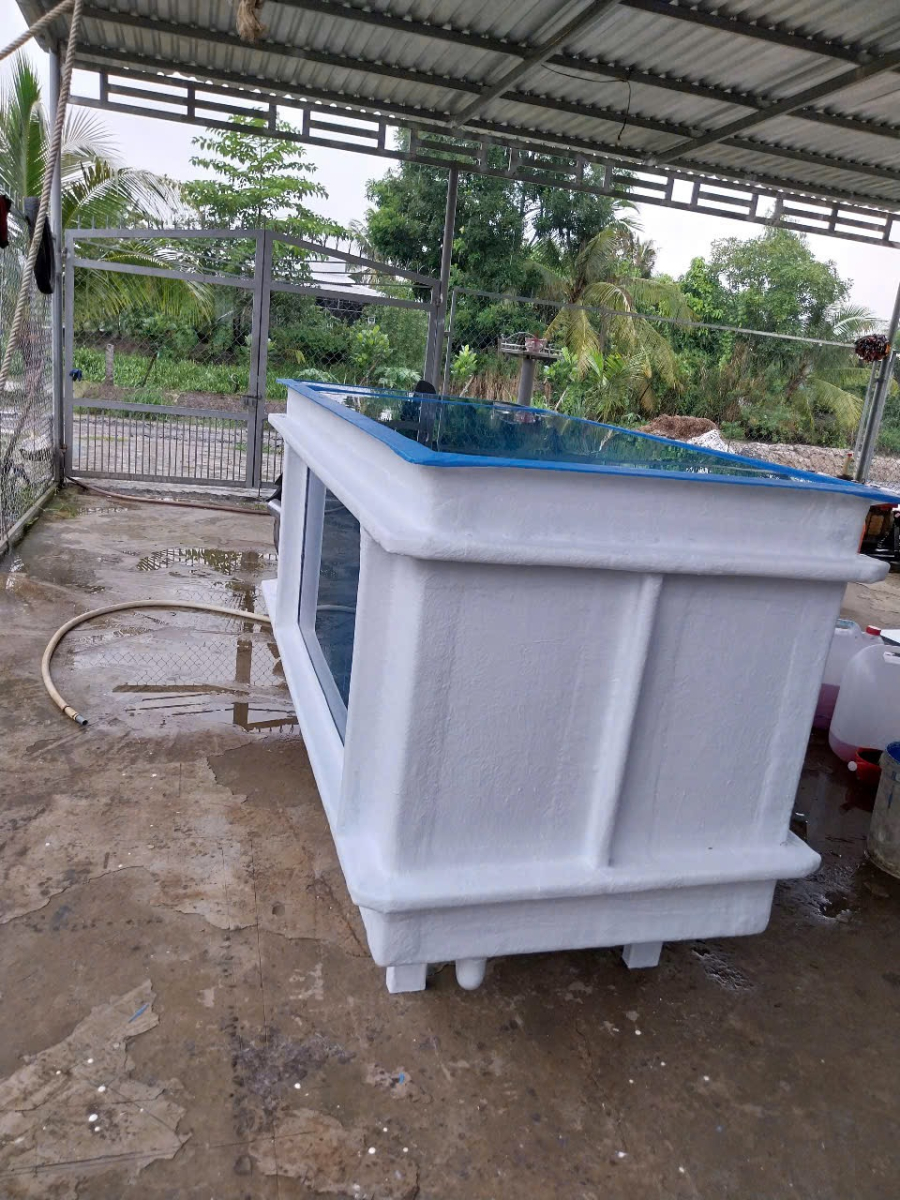 BỂ COMPOSITE CHUYÊN DÙNG NUÔI CÁ SĂN MỒI - THEO YÊU CẦU- 4 KHỐI