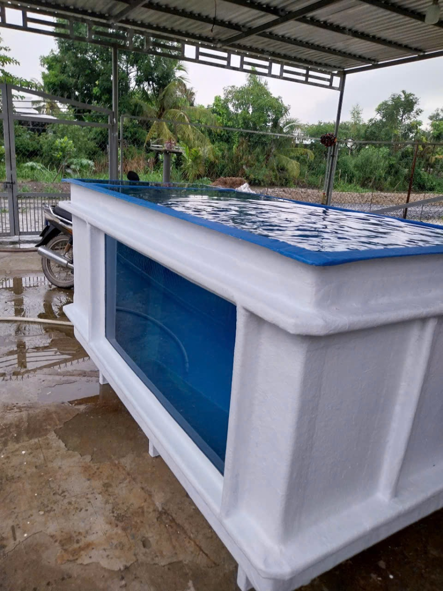BỂ COMPOSITE CHUYÊN DÙNG NUÔI CÁ SĂN MỒI - THEO YÊU CẦU- 4 KHỐI