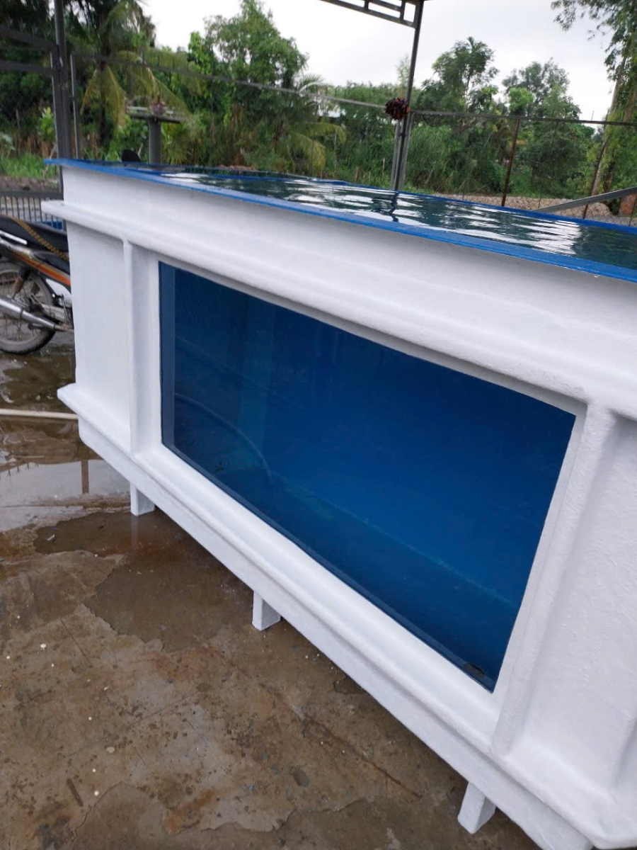 BỂ COMPOSITE CHUYÊN DÙNG NUÔI CÁ SĂN MỒI - THEO YÊU CẦU- 4 KHỐI