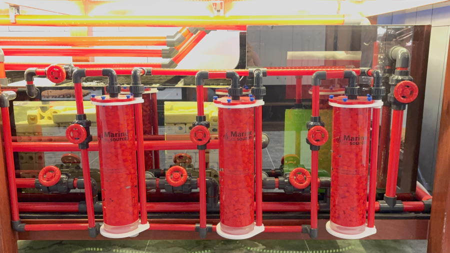 HỒ CÁ 3M05 X 1M06 X 1M06