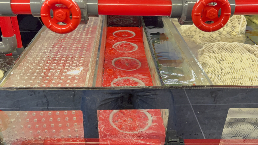 HỒ CÁ 3M05 X 1M06 X 1M06