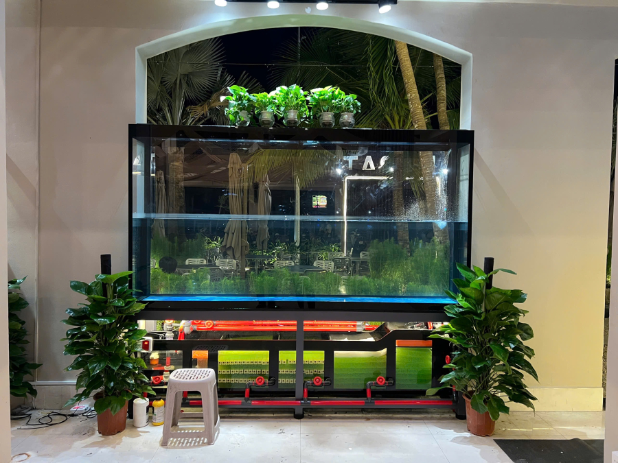 HỒ CÁ CÁNH BUỒM 3MET