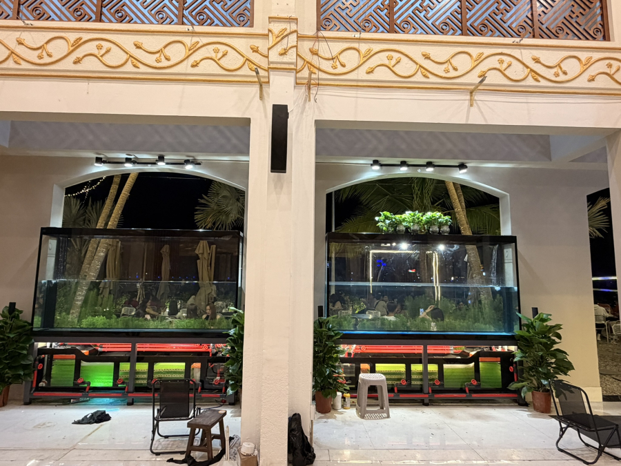 HỒ CÁ CÁNH BUỒM 3MET